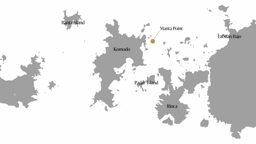 Detailed map of Komodo National Park in grey, showing the location of Manta Point in relation to key locations, Komodo, Rinca, Padar Island and Labuan Bajo
